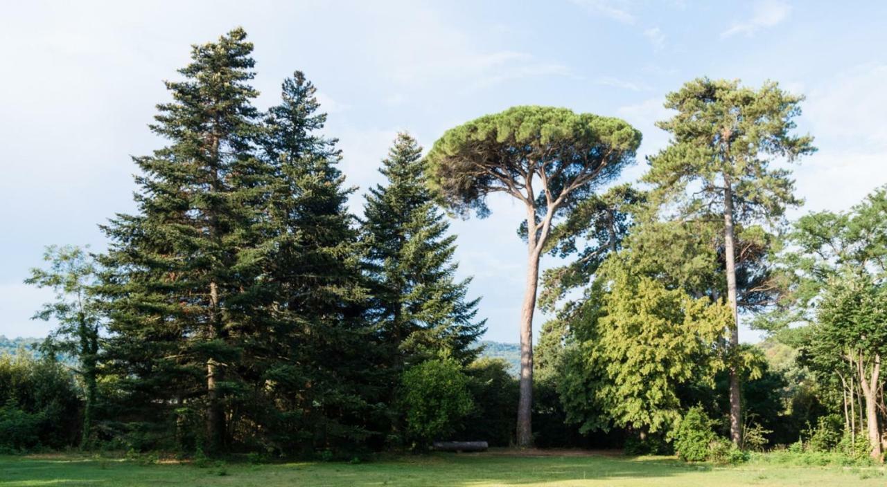Chateau De Montcaud Sabran المظهر الخارجي الصورة