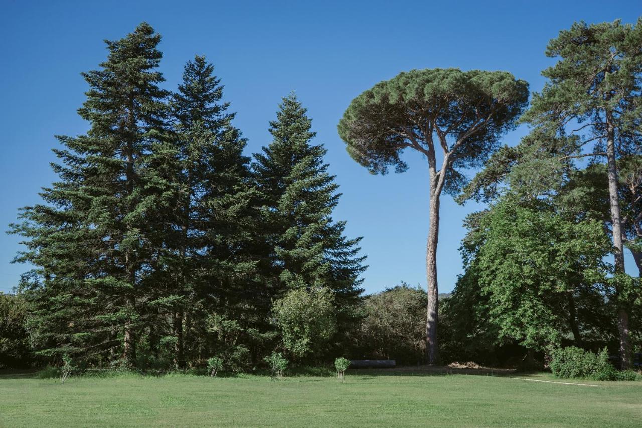 Chateau De Montcaud Sabran المظهر الخارجي الصورة